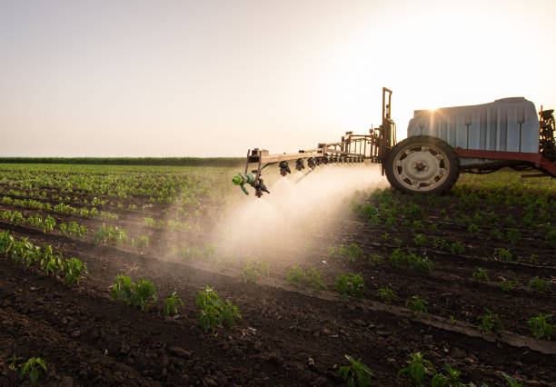 istock Tractor spraying pesticides on vegetable field  with sprayer at spring 1324890900