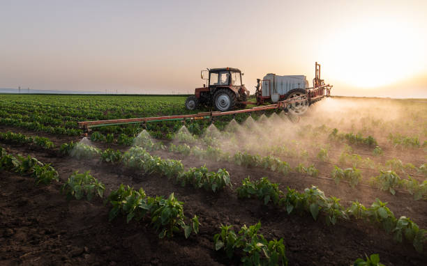 tracteur pulvérisant des pesticides sur le champ de légumes avec un pulvérisateur au printemps - crop sprayer insecticide spraying agriculture photos et images de collection