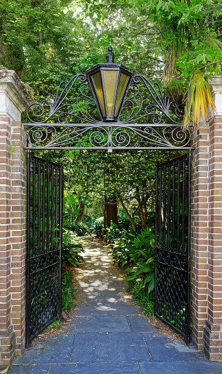 Wrought iron gate open to a path in Charleston SC, leading to one of the city's many lush gardens