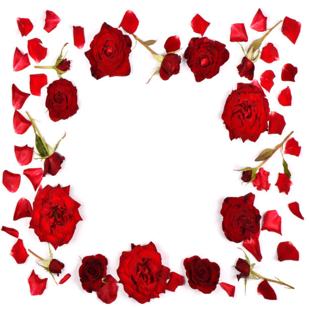 istock Red rose flower in the form of frame 1324892465
