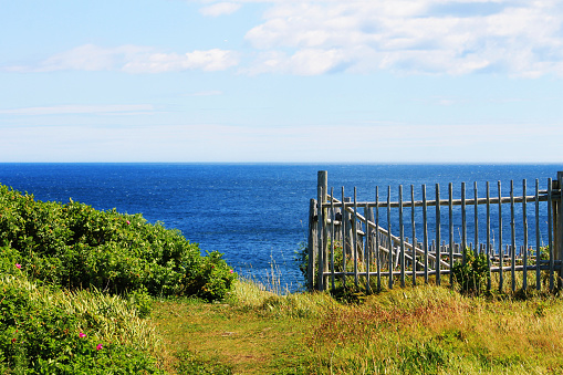 A footpath worn in the grass on a hilltop, leading down to the sea. A rustic wooden fence on one side, bushes and wildflowers on the other.