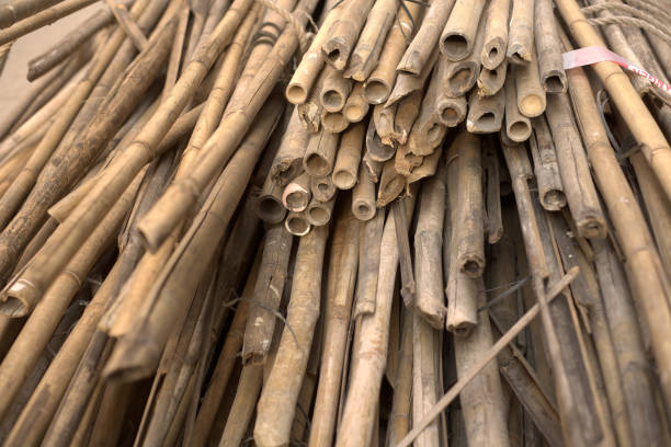 A pile of bamboo rods ready for use in scaffoldings in Chinese traditional construction system