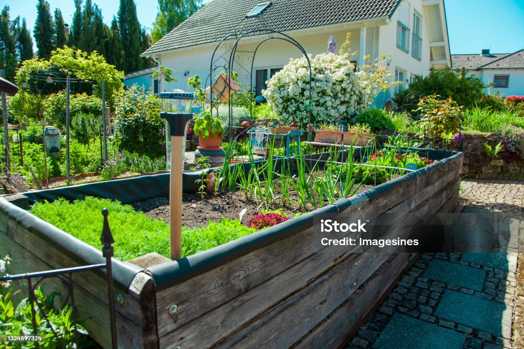 Residential garden, private vegetable garden. Landscape design in home garden, beautiful landscaping in backyard with raised bed with vegetables plants in springtime. home garden. Beautiful home garden in full bloom. Beautiful landscaping in Backyard with flowerbed. Raised bed gardening concept Flowerbed Stock Photo