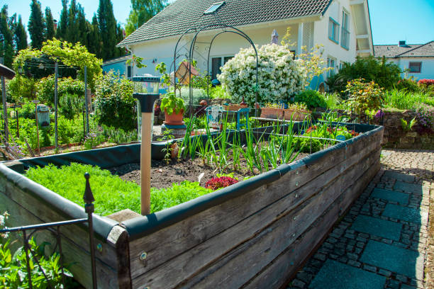 Residential garden, private vegetable garden. Landscape design in home garden, beautiful landscaping in backyard with raised bed with vegetables plants in springtime. home garden. Beautiful home garden in full bloom. Beautiful landscaping in Backyard with flowerbed. Raised bed gardening concept flowerbed stock pictures, royalty-free photos & images