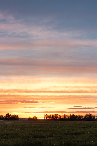 Summer sunset over prairie field in Saskatchewan