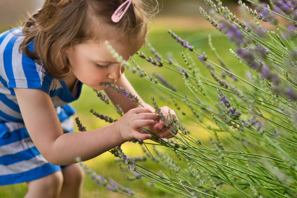istock Girl smelling lavender flower 1324898715