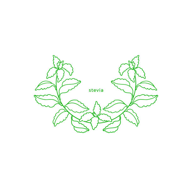 ilustrações, clipart, desenhos animados e ícones de stevia símbolo simples. ramo vetorial, folha de açúcar - vector branch leaf affectionate