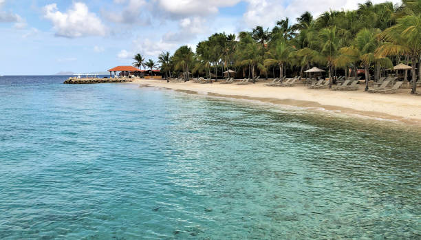 istock Harbour Village Resort 1324900790