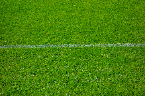 White line on Green grass sport field for sport concept