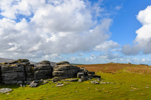 istock A thor in the Dartmoor National Park in England 1324902088