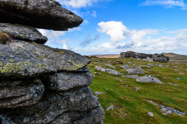 istock A thor in the Dartmoor National Park in England 1324902255