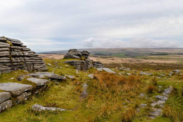 istock A thor in the Dartmoor National Park in England 1324902276