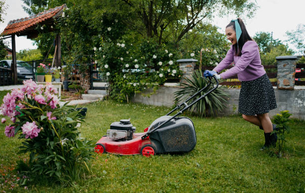 istock Woman mowing the lawn 1324902923