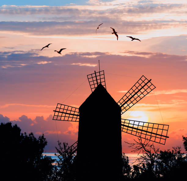 Windmill by the sea in the sunset with seagulls