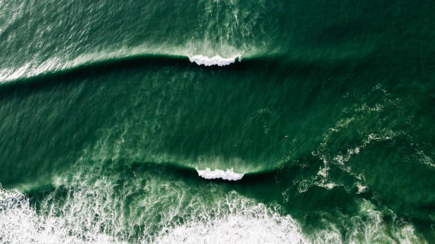 istock Surfing in France 1324905457