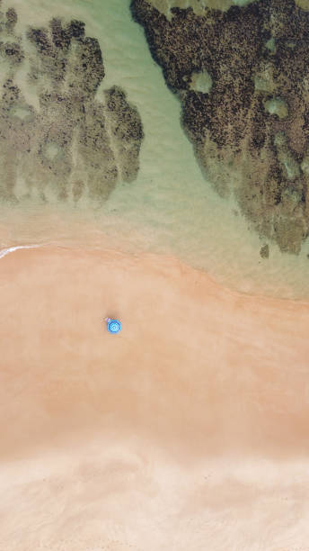 istock Caribezinho Beach Guarajuba 1324907100