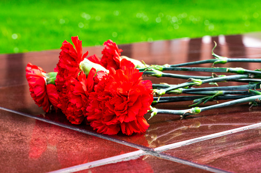 Flores de clavez rojo en el monumento de mármol en el Día de los Caídos. 9 de mayo y los días de luto photo