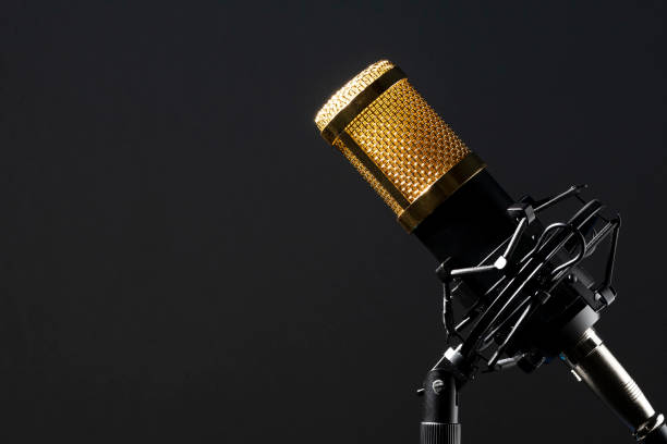 istock Base-mounted, corded professional desktop microphone with a Black background. 1324907889