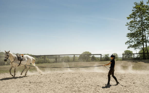 istock Young female trainer exercising her horse 1324909103