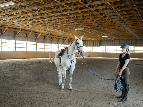 Young female horse trainer prepping her horse for riding inside the horse stable. She is wearing horse riding helmet,  pants and t-shirt with her long hair in pony tail. Interior of rural horse farm in Ontario, Canada.