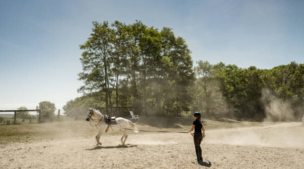 istock Young female trainer exercising her horse 1324909387