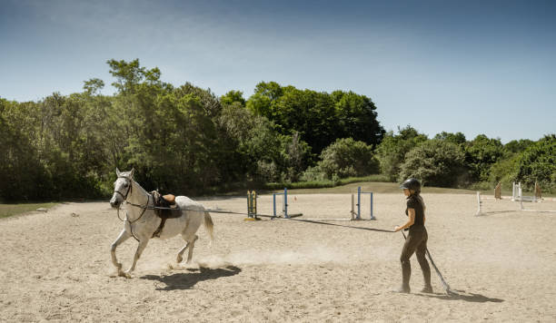 istock Young female trainer exercising her horse 1324909398