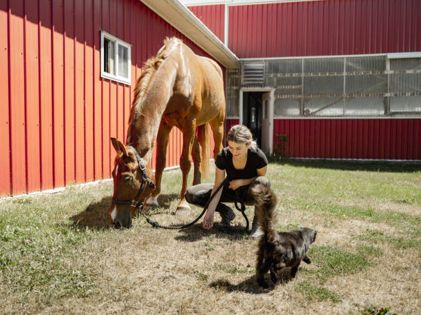 istock Young female trainer enjoying her horse 1324910069