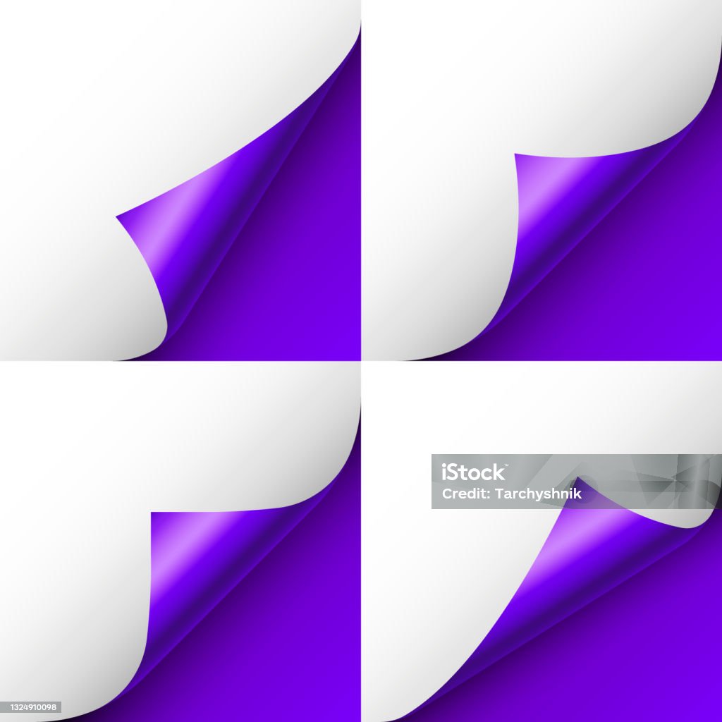 Paper Digen Set Of Violet Paper Curls Curled Page Corner With Shadow Blank Sheet Of ...