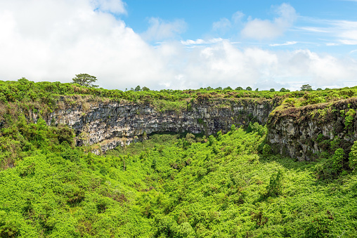 Extinct volcanic craters known as Los Gemelos, the twins, with lush vegetation on Santa Cruz island, Galapagos islands national park, Ecuador.