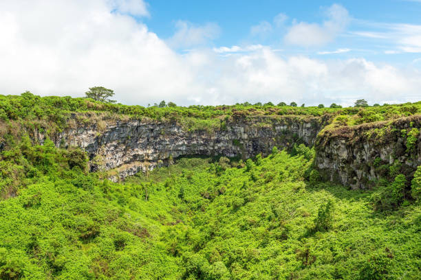 Twins Extinct Volcano, Santa Cruz, Galapagos Extinct volcanic craters known as Los Gemelos, the twins, with lush vegetation on Santa Cruz island, Galapagos islands national park, Ecuador. santa cruz island galapagos islands stock pictures, royalty-free photos & images