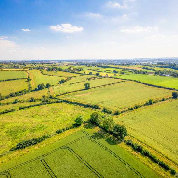 Traditional rural England - Aerial horizon An aerial image looking over traditional English fields and hedgerows in Leicestershire, in the Midlands. patchwork landscape stock pictures, royalty-free photos & images
