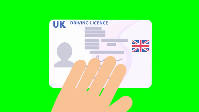 A hand shows UK driver's license Post Brexit version on green background (flat design)