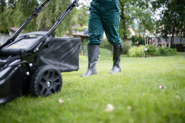 istock Gardener Mows The Lawn With An Mower. 1324918119