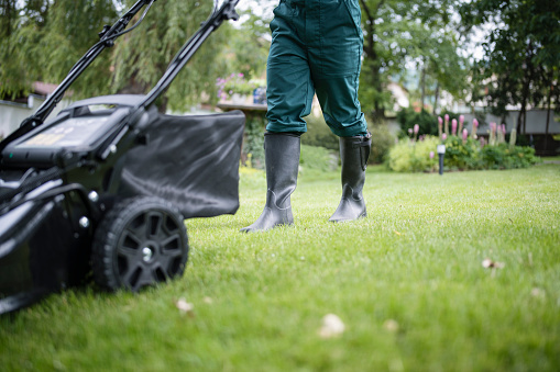 Unrecognizable gardener mows the lawn with an mower in the garden.