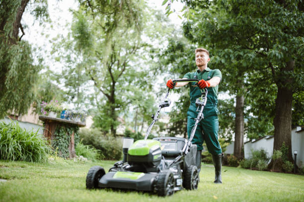 istock Gardener Mows The Lawn With An Mower. 1324918138