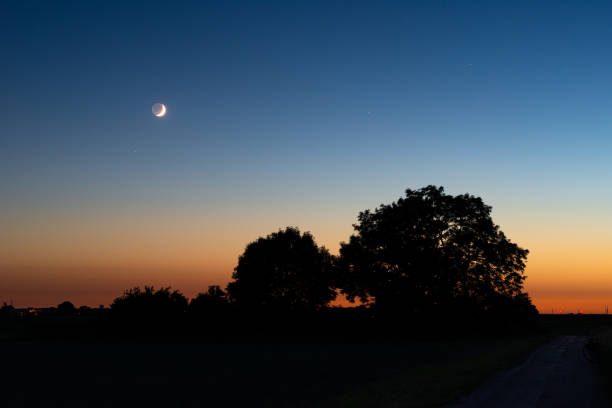 istock Sickle moon over trees in the evening 1324918455