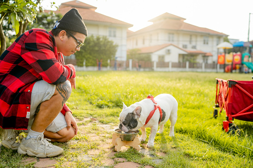 Asian man enjoying a relaxing day at a public park with a french bulldog.