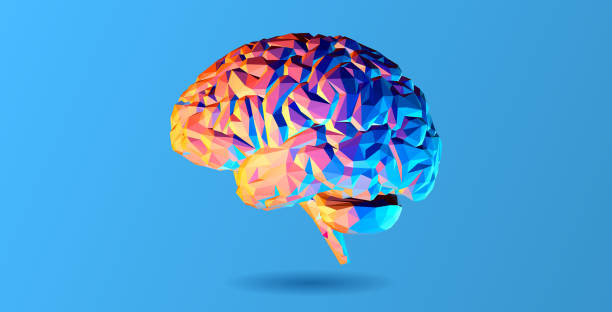 Abstract polygonal brain illustration isolated on blue BG Abstract colorful low poly human brain side view with illuminated lighting vector illustration isolated on blue background low poly modelling illustrations stock illustrations