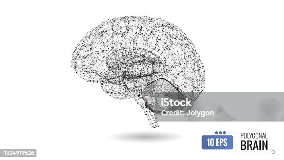 istock 3D wireframe polygon and vertex of human brain illustration 1324919526