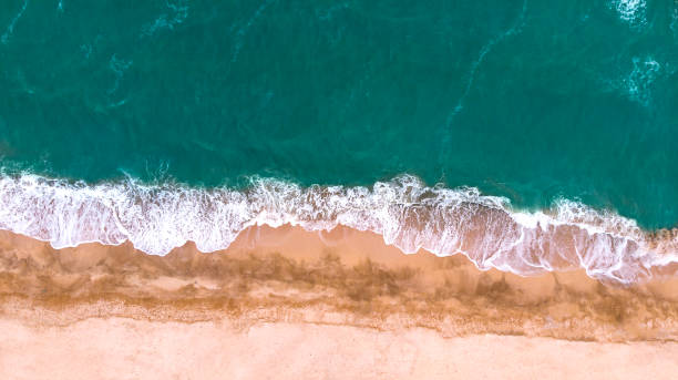 istock Aerial. Beautiful sea waves on a sandy beach. Top view from drone. 1324929323