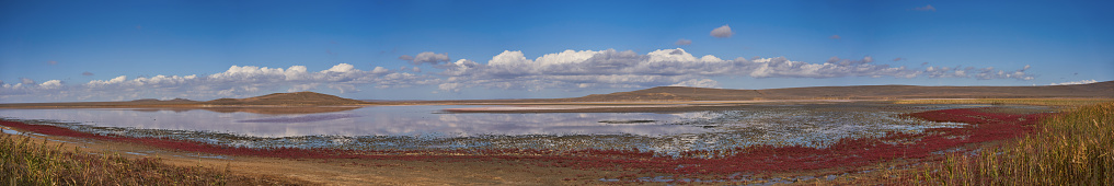 Panorama of the Koyashskoe pink salt lake in the National Opuk Reserve in the Crimea in the summer