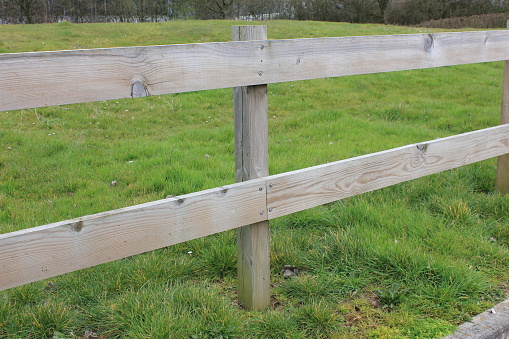 External timber fence