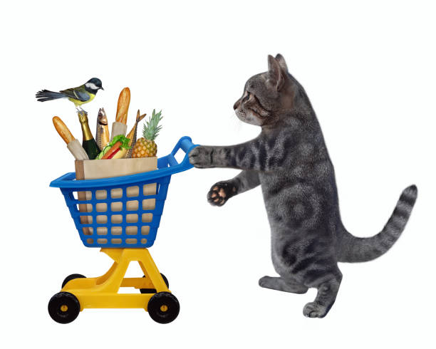 istock Cat gray pushing plastic trolley of food 1324939805