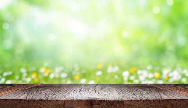 Green summer background with empty space for product display