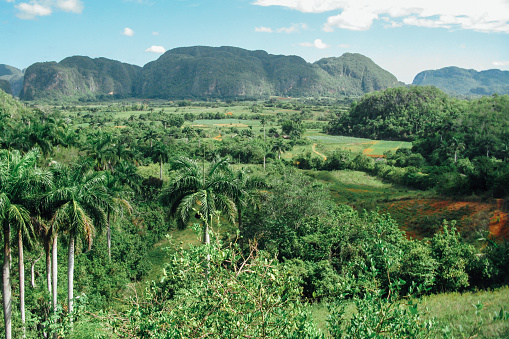 A high angle shot of Vinales valley with many trees and fields in Cuba