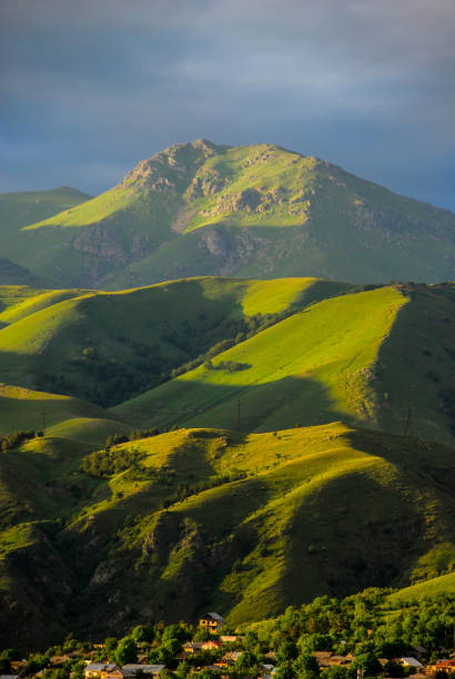 beautiful summer sunset landscape in the mountains with blooming flowers, Armenian travel, wonderful world