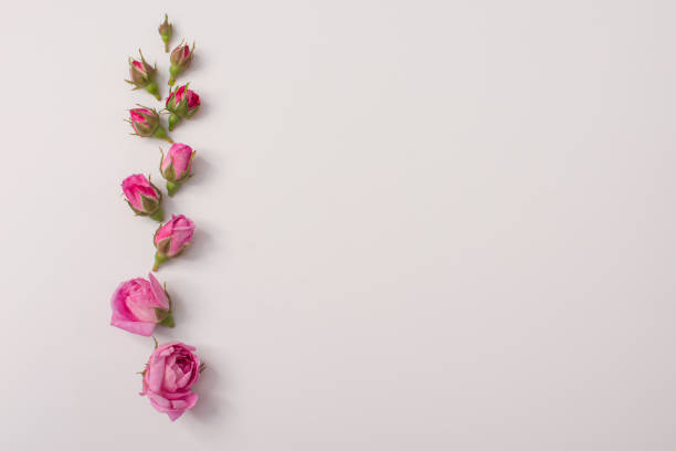 istock the concept of development and growth. mock up 1324943341