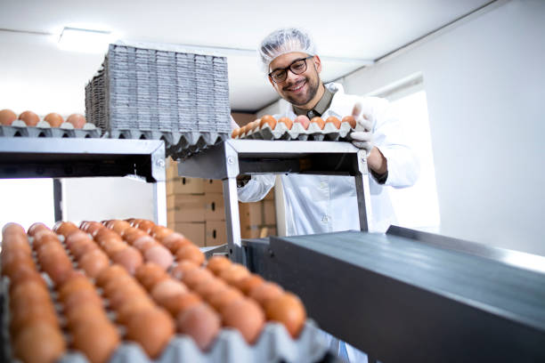 istock Factory worker at egg farm packing food for distribution. 1324945140