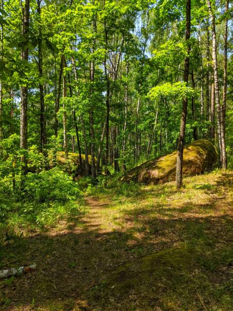 istock Stone village in Ukraine 1324946114