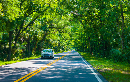 A car drives along a two lane roadway in St. Augustine, Florida under a lush canopy of overlapping tree branches. forming an optical tunnel.